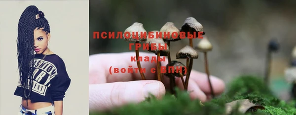 ALPHA-PVP Дмитров