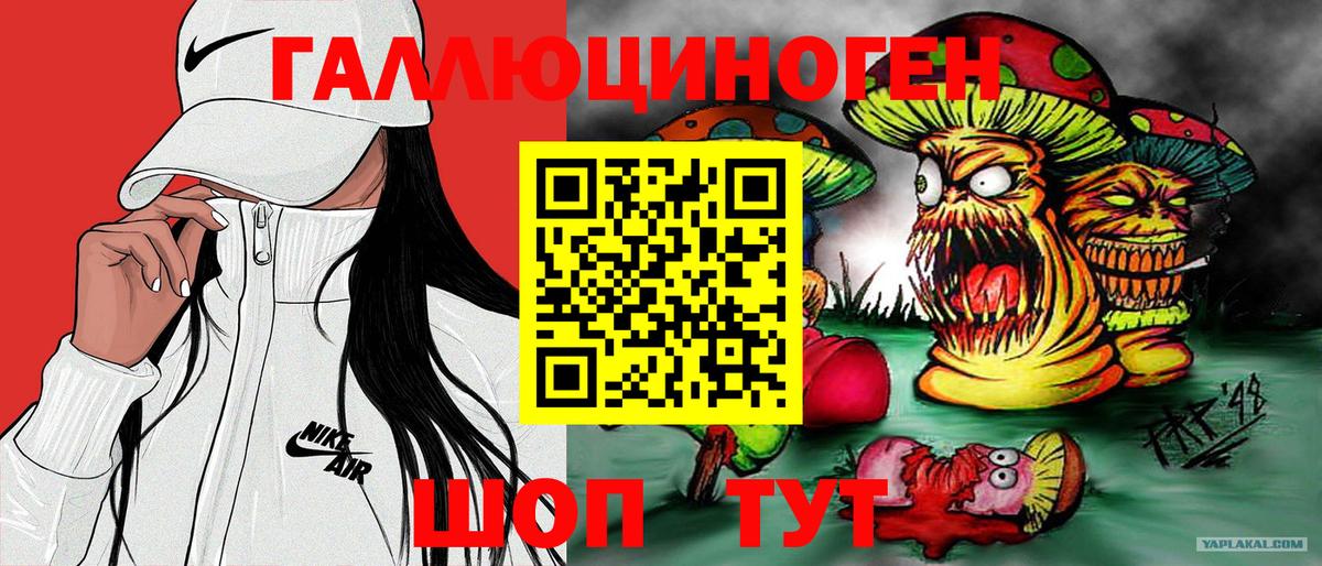 Псилоцибиновые грибы Psilocybe  Солнечногорск 