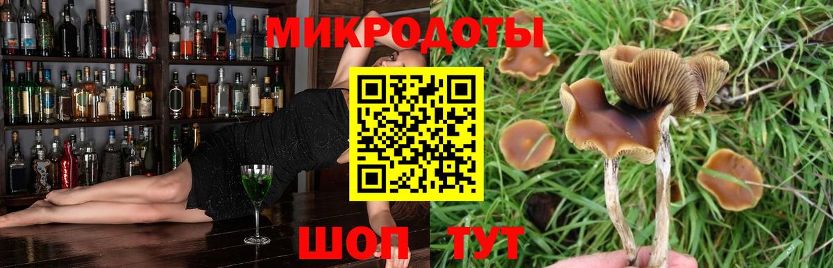 Псилоцибиновые грибы Magic Shrooms Солнечногорск